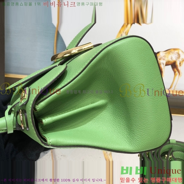 #���� �긮�ӹ� �̴� DV0020-13