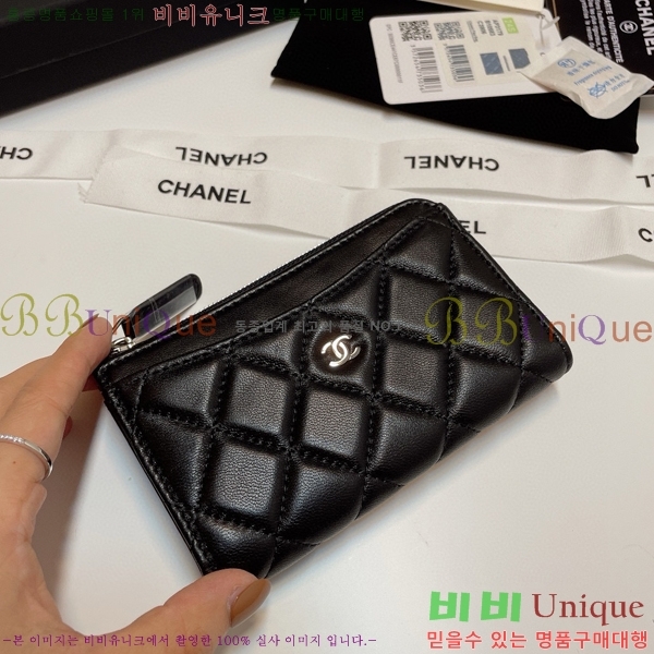 #���� Ŭ���� ���� ī��Ȧ�� AP3179-101 ����Ų ����