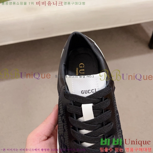   Ŀ GG381704-1