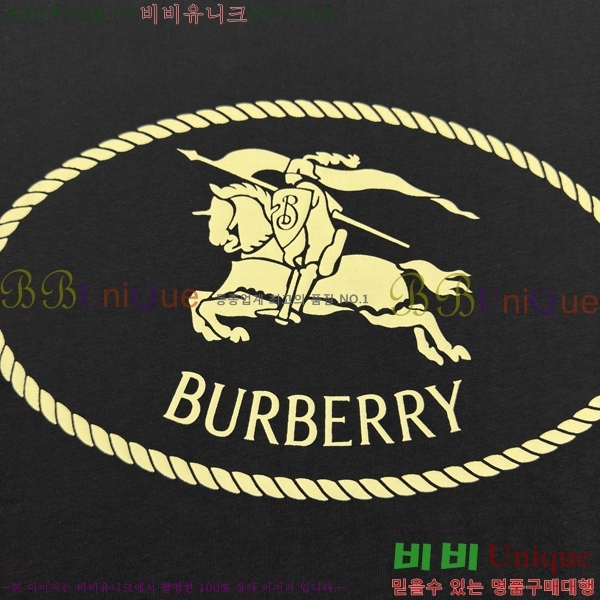     Ƽ 13BU256239-2