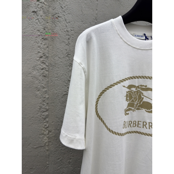     Ƽ 13BU256239-1