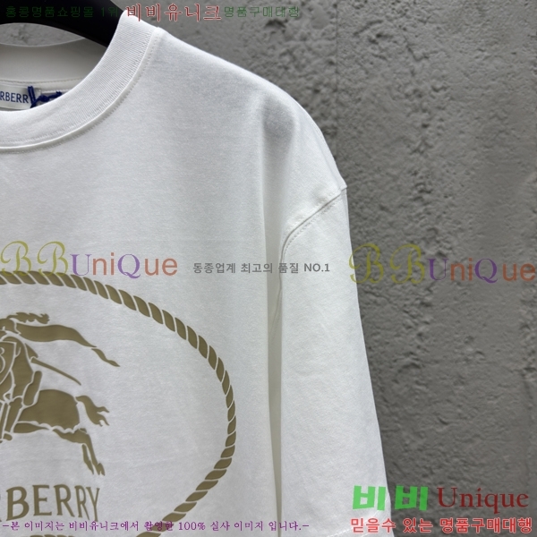     Ƽ 13BU256239-1