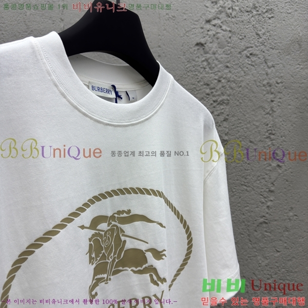     Ƽ 13BU256239-1