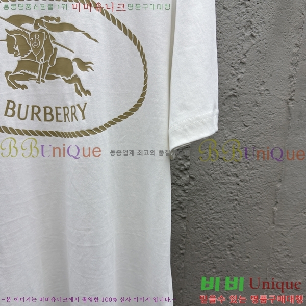     Ƽ 13BU256239-1