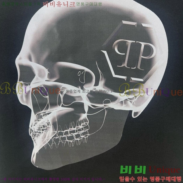  ʸ÷  Ƽ PP974510-1