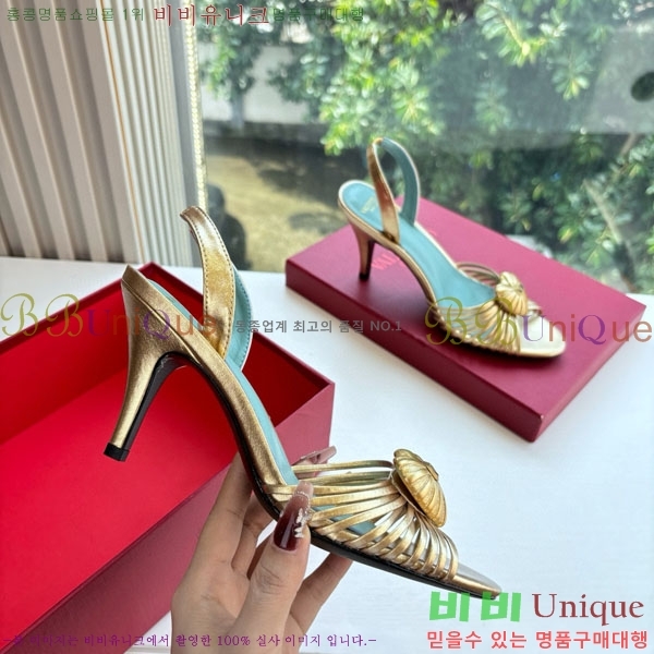 ���� �߷�Ƽ�� ������ ���� VA5580988-2