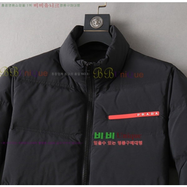 ���� ����� �ٿ� �е� PA253652