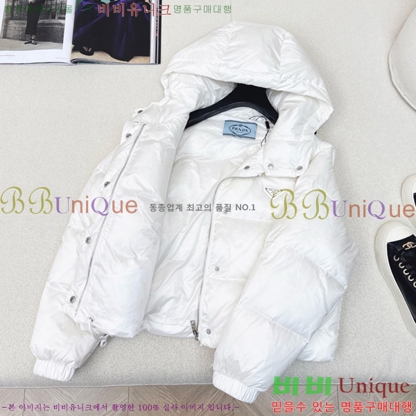 ���� ����� �ٿ� �е� PA287653-1