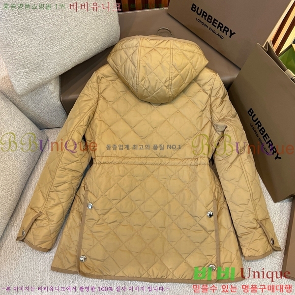 ���� ������ �ٿ� �е� BU2536219-1