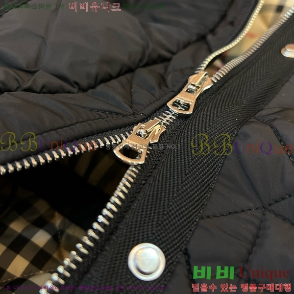 ���� ������ �ٿ� �е� BU2536219-2