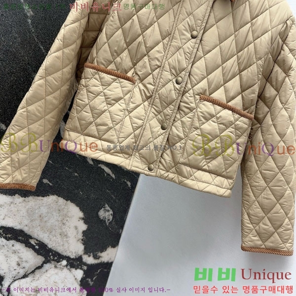 ���� ������ �е� ���� BU2834535-12