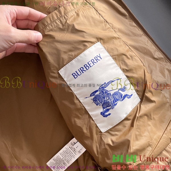 ���� ������ ���� BU2156281-2