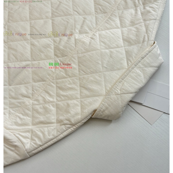 ���� ���װ�����Ÿ �淮 �е� BV242880-1