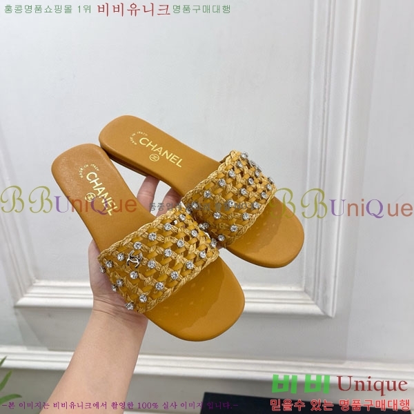 ��* ���� A81577806