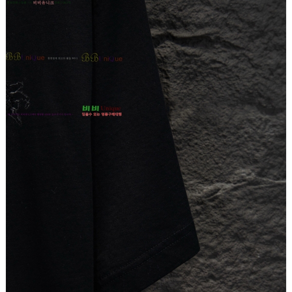 ���� ũ������ ���� Ƽ���� CH8167584-5