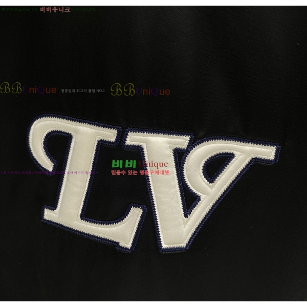 ���� ����*�� ĳ�־� ���� LV2632014-1